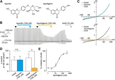 The Calcium-Activated Chloride Channel TMEM16A is Inhibitied by Liquiritigenin